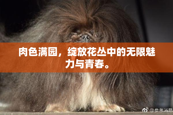 肉色满园，绽放花丛中的无限魅力与青春。