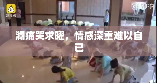 澜痛哭求曜，情感深重难以自已