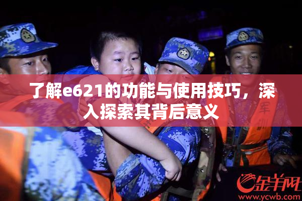 了解e621的功能与使用技巧，深入探索其背后意义