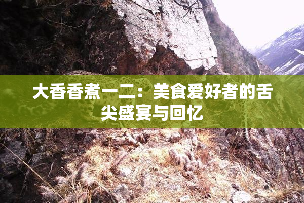 大香香煮一二：美食爱好者的舌尖盛宴与回忆