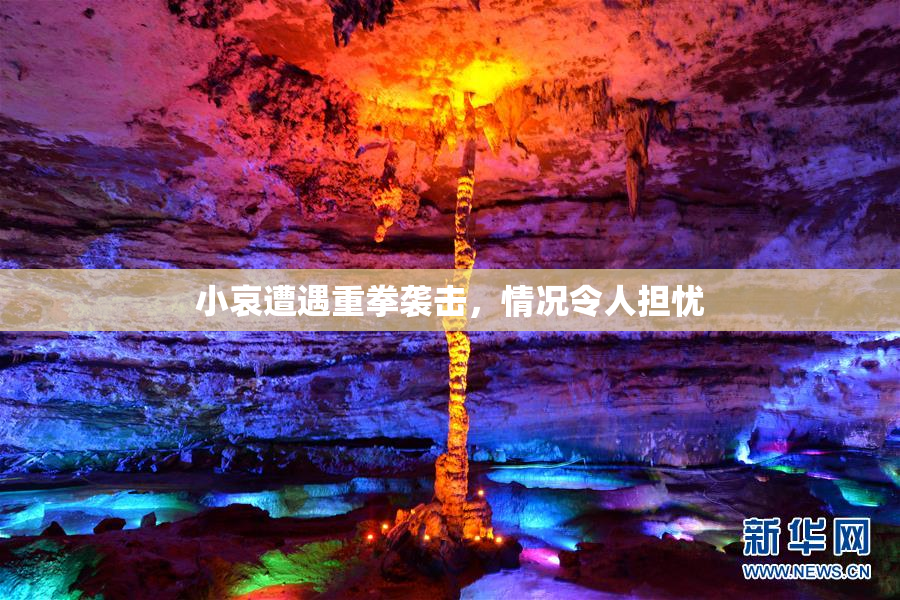 小哀遭遇重拳袭击，情况令人担忧