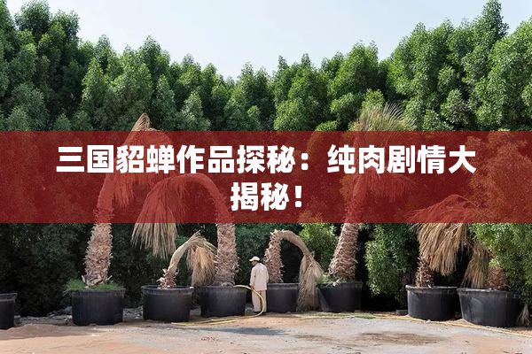 三国貂蝉作品探秘：纯肉剧情大揭秘！