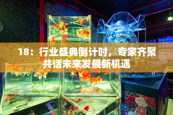 18：行业盛典倒计时，专家齐聚共话未来发展新机遇