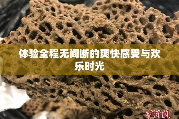 体验全程无间断的爽快感受与欢乐时光