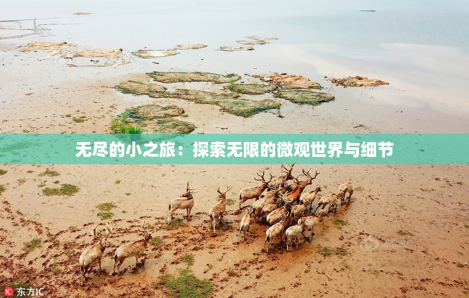 无尽的小之旅：探索无限的微观世界与细节