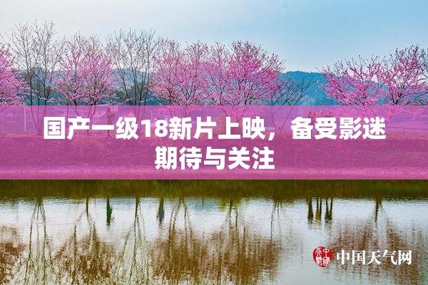 国产一级18新片上映，备受影迷期待与关注
