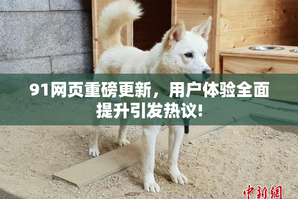 91网页重磅更新，用户体验全面提升引发热议!