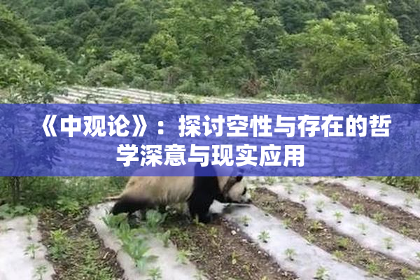 《中观论》：探讨空性与存在的哲学深意与现实应用