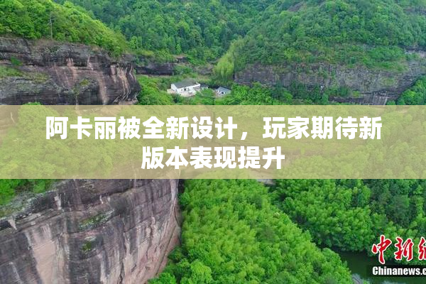 阿卡丽被全新设计，玩家期待新版本表现提升