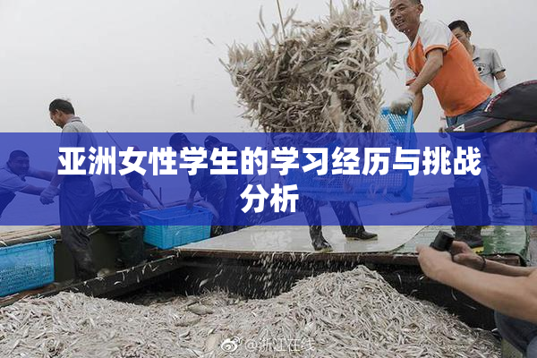 亚洲女性学生的学习经历与挑战分析