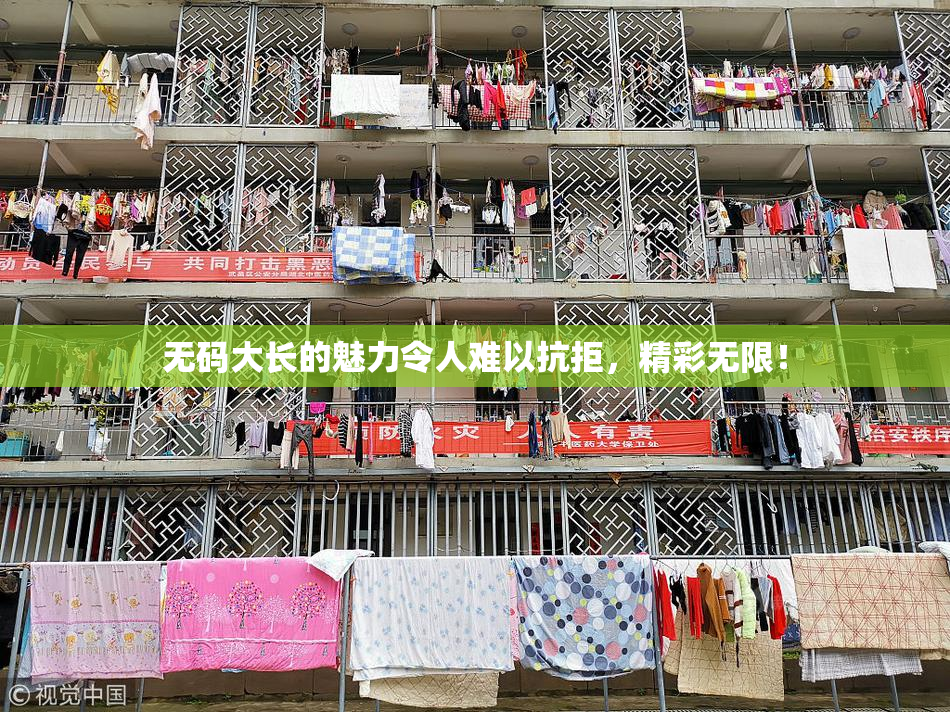 无码大长的魅力令人难以抗拒，精彩无限！