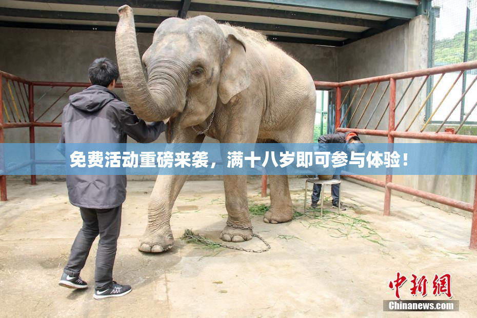 免费活动重磅来袭，满十八岁即可参与体验！