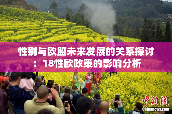 性别与欧盟未来发展的关系探讨：18性欧政策的影响分析