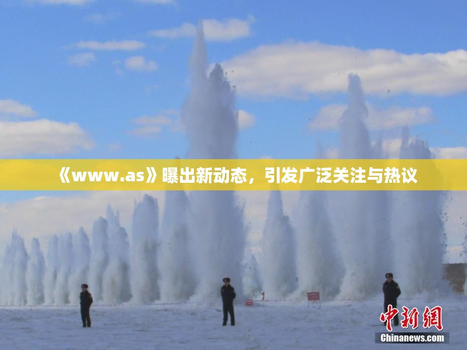 《www.as》曝出新动态，引发广泛关注与热议
