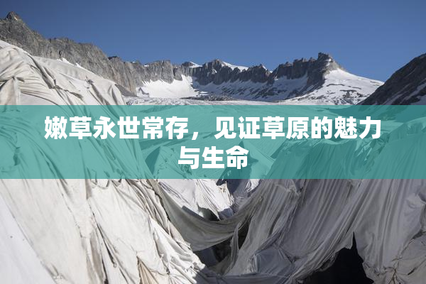嫩草永世常存，见证草原的魅力与生命