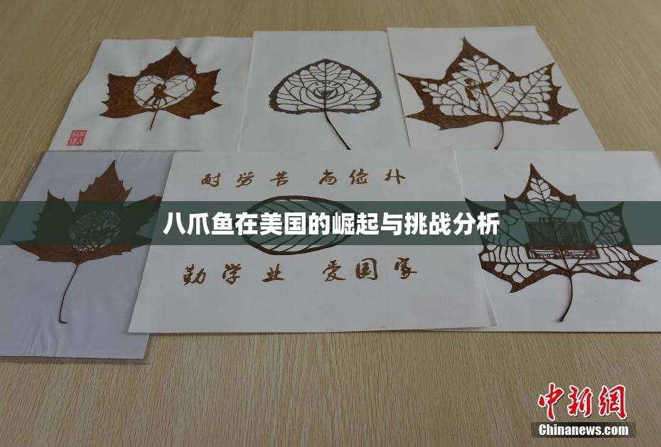 八爪鱼在美国的崛起与挑战分析