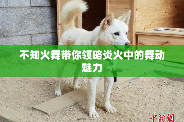 不知火舞带你领略炎火中的舞动魅力