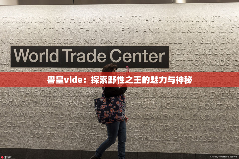 兽皇vide：探索野性之王的魅力与神秘