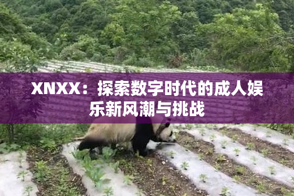 XNXX：探索数字时代的成人娱乐新风潮与挑战