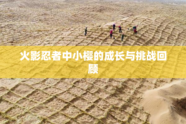 火影忍者中小樱的成长与挑战回顾