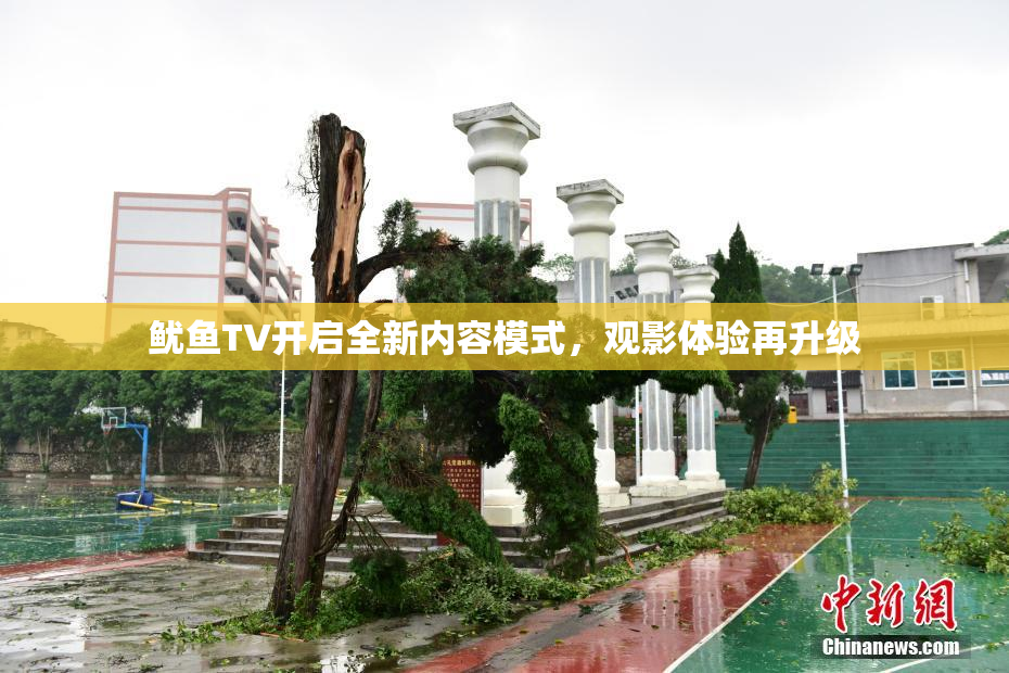 鱿鱼TV开启全新内容模式，观影体验再升级