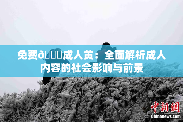 免费🔞成人黄：全面解析成人内容的社会影响与前景