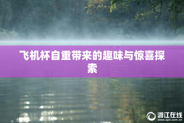 飞机杯自重带来的趣味与惊喜探索