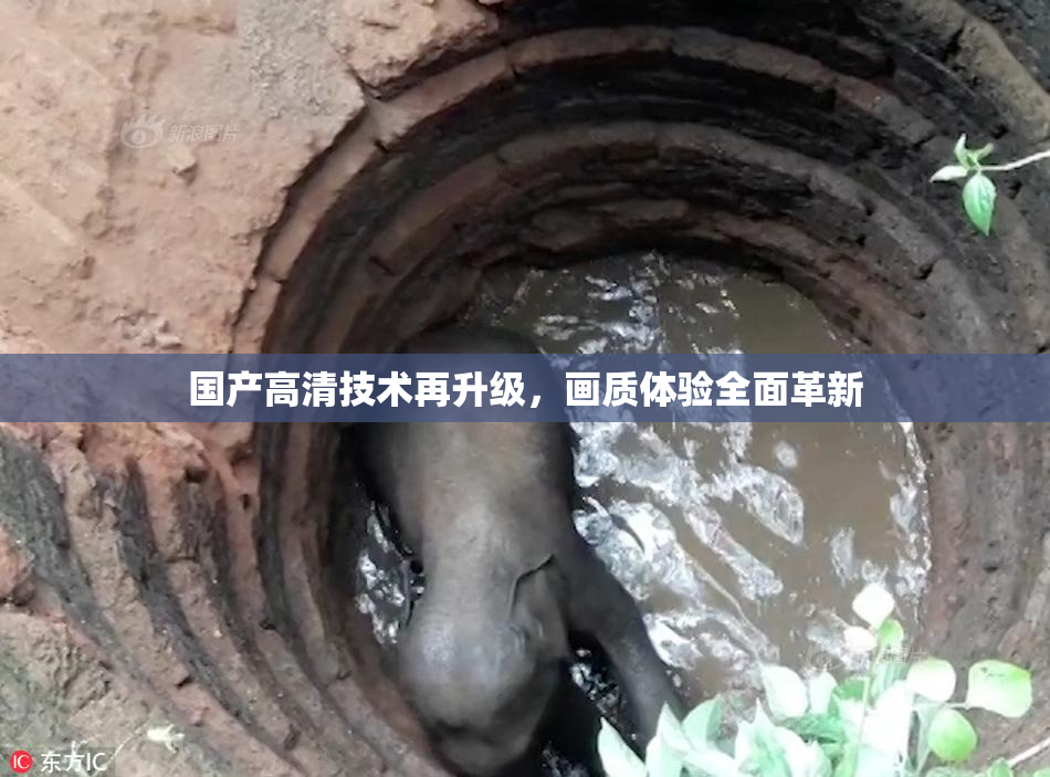 国产高清技术再升级，画质体验全面革新