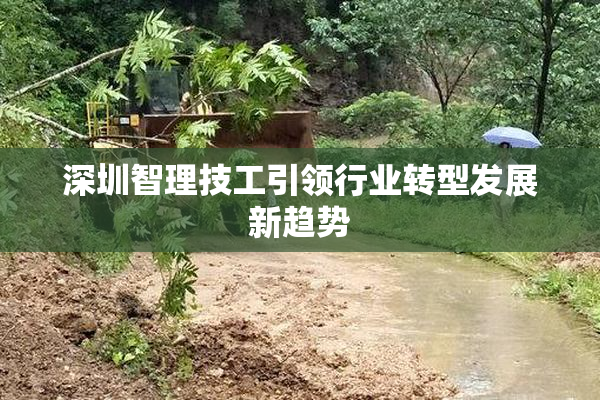 深圳智理技工引领行业转型发展新趋势