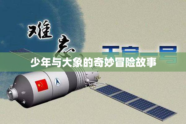 少年与大象的奇妙冒险故事