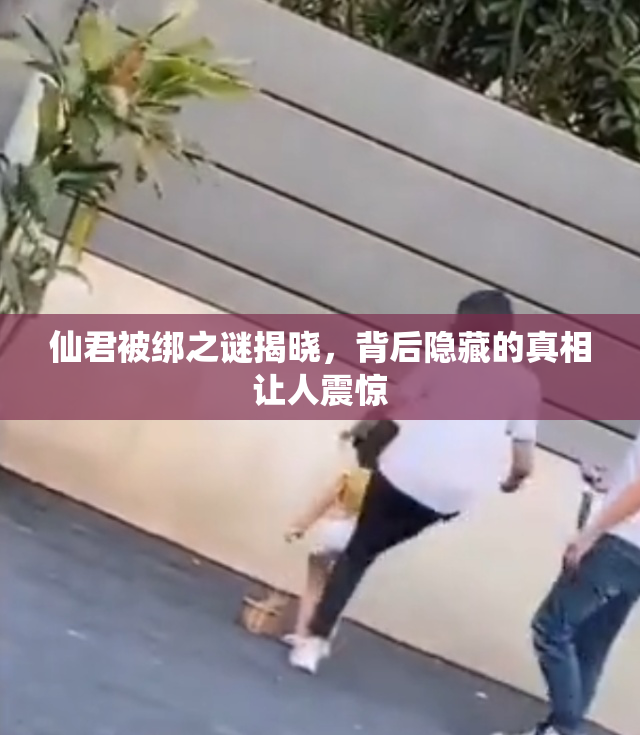 仙君被绑之谜揭晓，背后隐藏的真相让人震惊