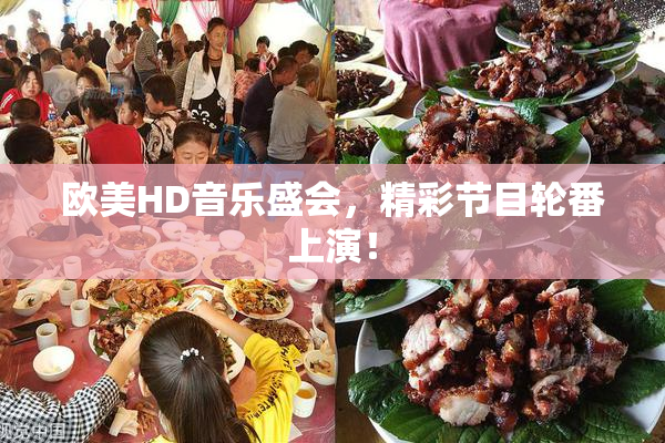 欧美HD音乐盛会，精彩节目轮番上演！