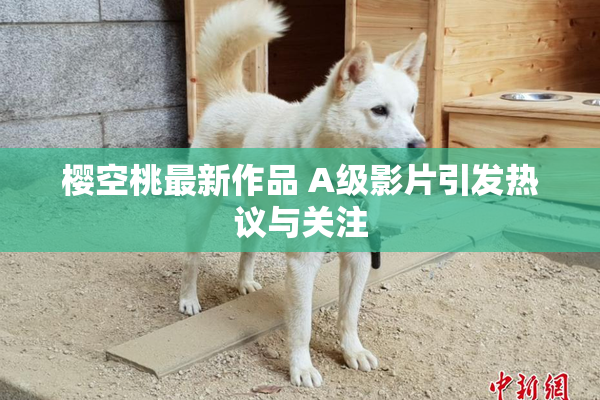 樱空桃最新作品 A级影片引发热议与关注