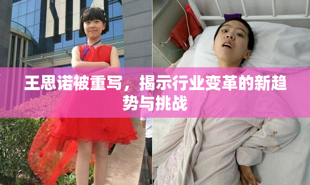 王思诺被重写，揭示行业变革的新趋势与挑战