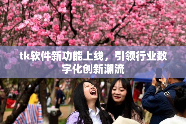 tk软件新功能上线，引领行业数字化创新潮流