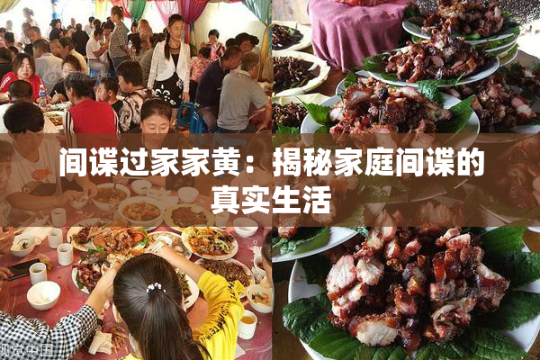 间谍过家家黄：揭秘家庭间谍的真实生活