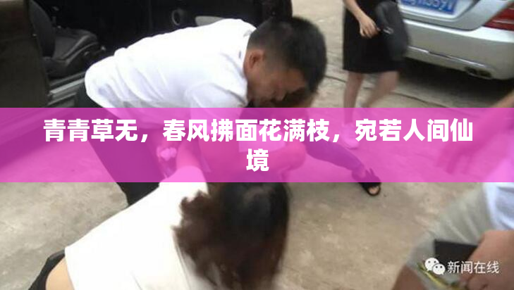 青青草无，春风拂面花满枝，宛若人间仙境