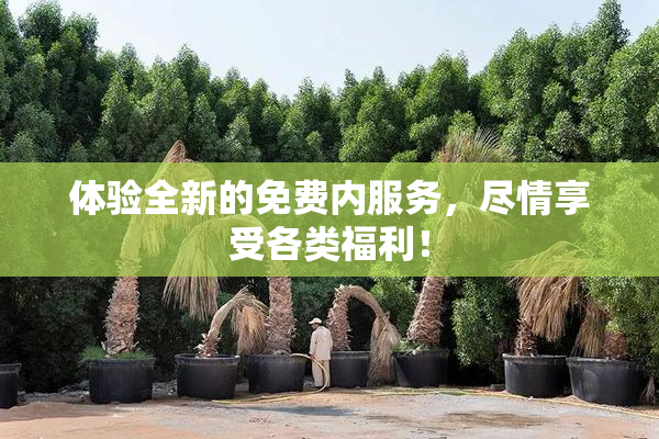 体验全新的免费内服务，尽情享受各类福利！