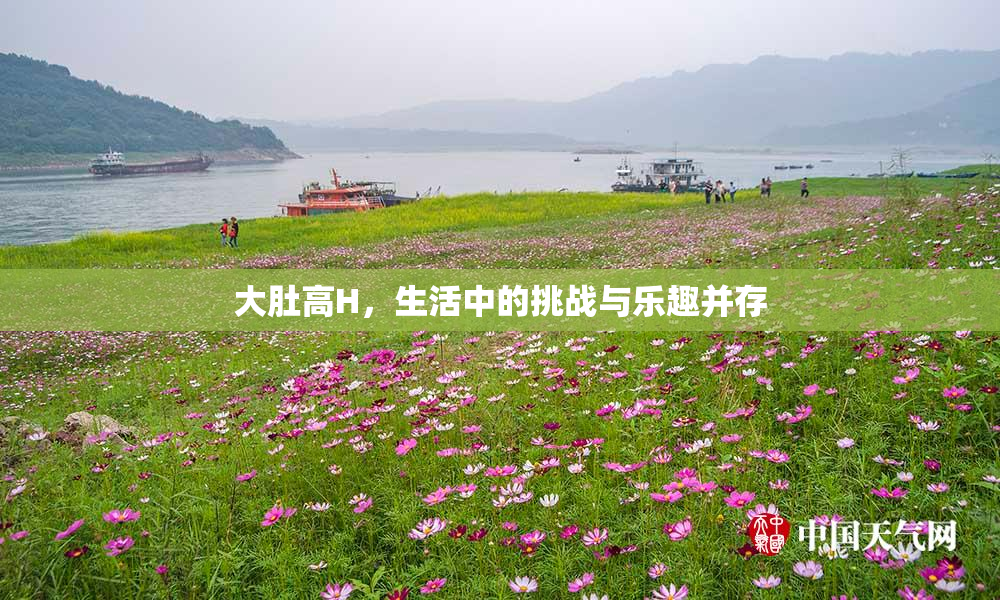 大肚高H，生活中的挑战与乐趣并存