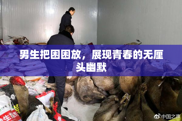 男生把困困放，展现青春的无厘头幽默