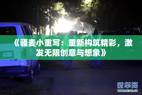 《骚麦小重写：重新构筑精彩，激发无限创意与想象》