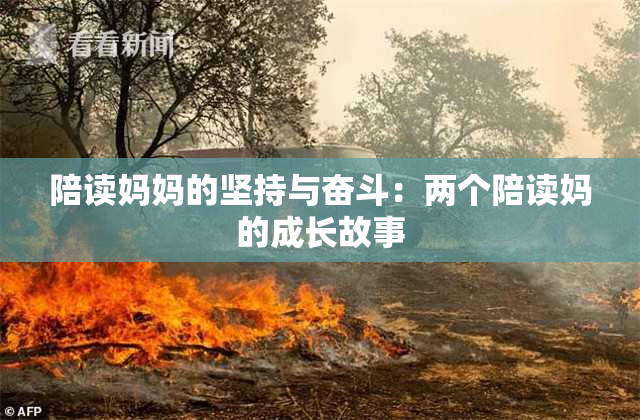 陪读妈妈的坚持与奋斗：两个陪读妈的成长故事