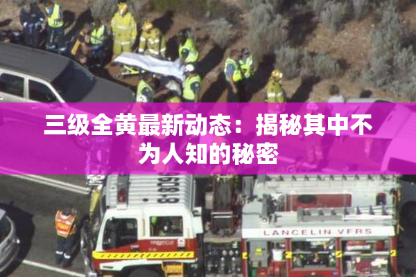 三级全黄最新动态：揭秘其中不为人知的秘密