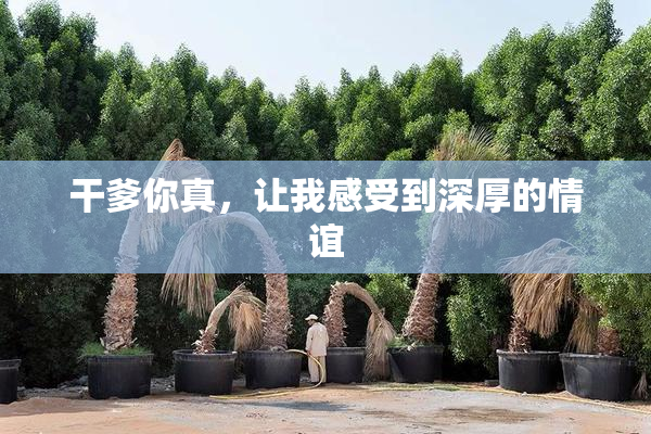 干爹你真，让我感受到深厚的情谊