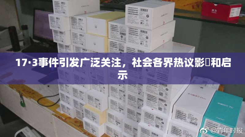 17·3事件引发广泛关注，社会各界热议影響和启示