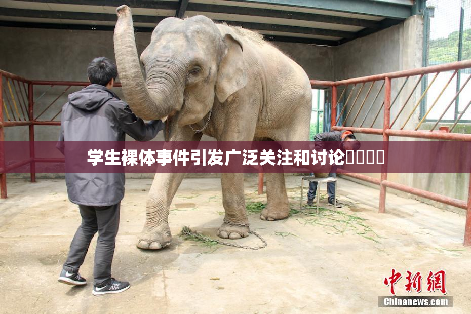 学生裸体事件引发广泛关注和讨论❌‌❌‌