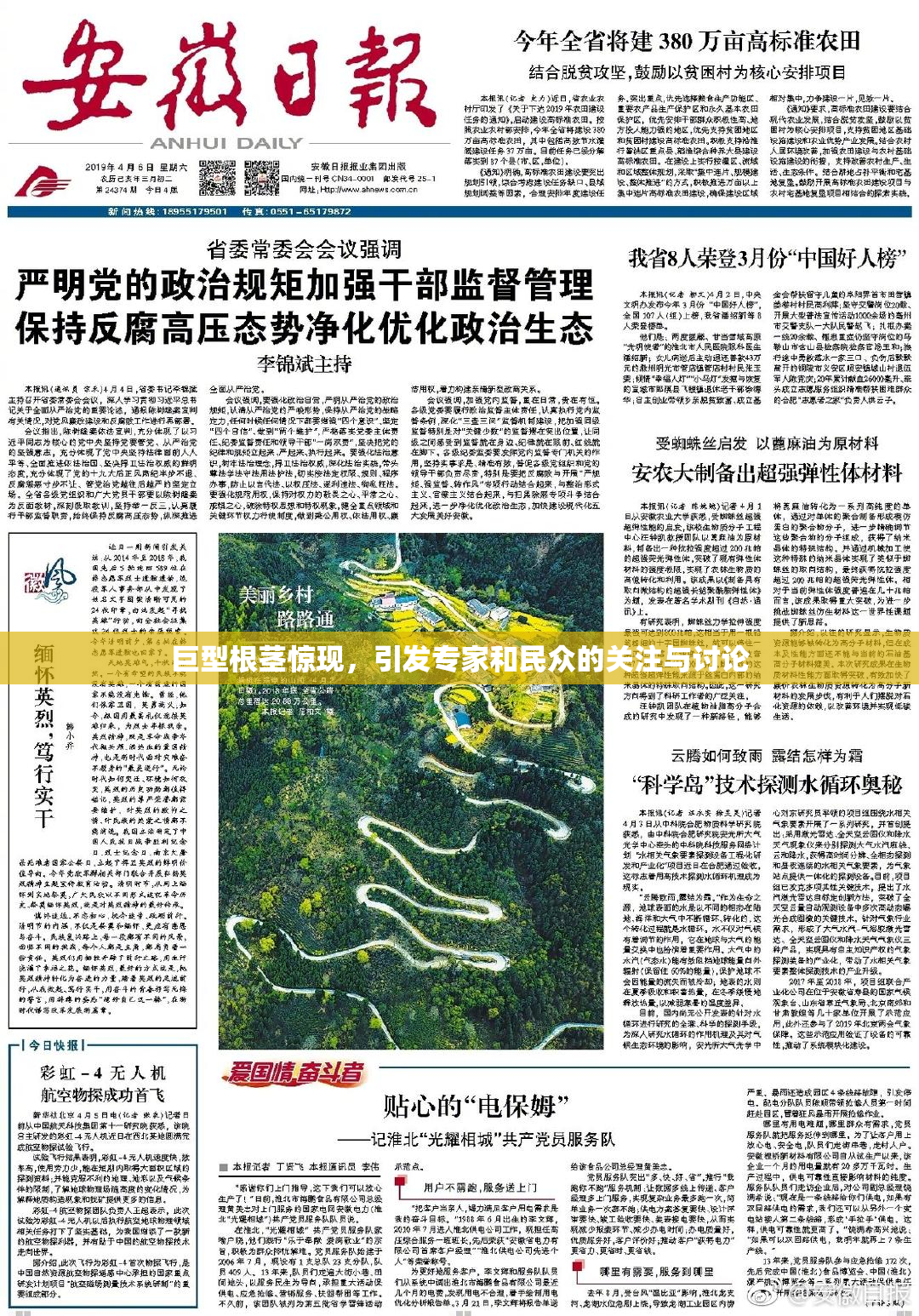 巨型根茎惊现，引发专家和民众的关注与讨论
