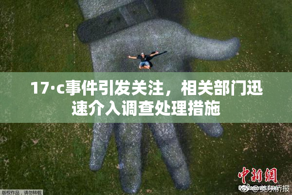 17·c事件引发关注，相关部门迅速介入调查处理措施