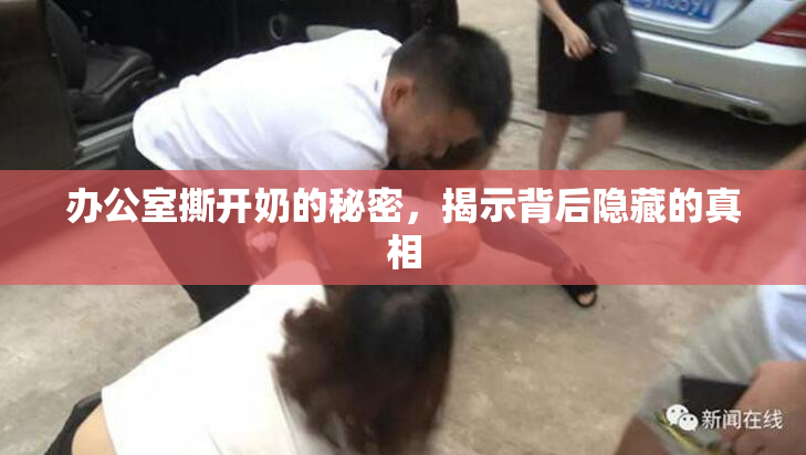 办公室撕开奶的秘密，揭示背后隐藏的真相