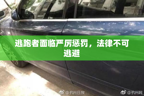 逃跑者面临严厉惩罚，法律不可逃避